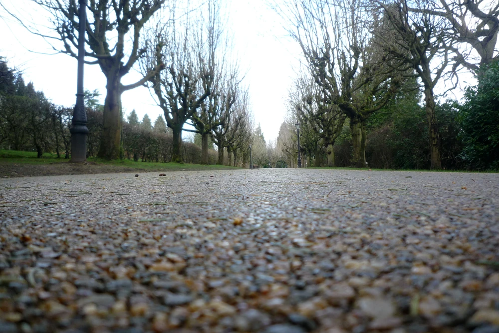 Resin bound vs block paving for driveways- which should you choose?
